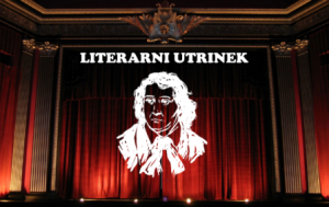 Literarni utrinek